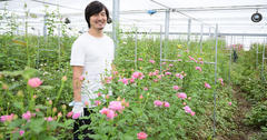日本の美を映し出す「和ばら」で、新たな花の価値を創造する