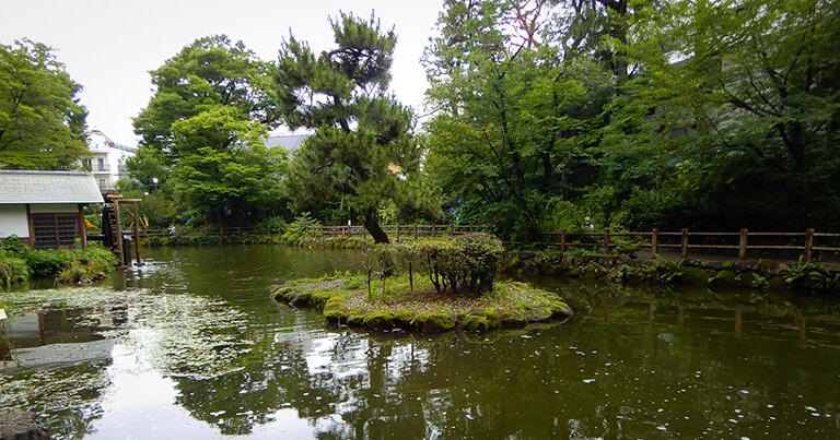 鍋島松濤公園の池。現在でも1時間に1000リットル程度の湧水がある