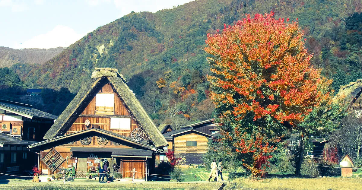 世界遺産・白川郷と五箇山｜養蚕と焔硝（えんしょう）作りから生まれた合掌造りの集落