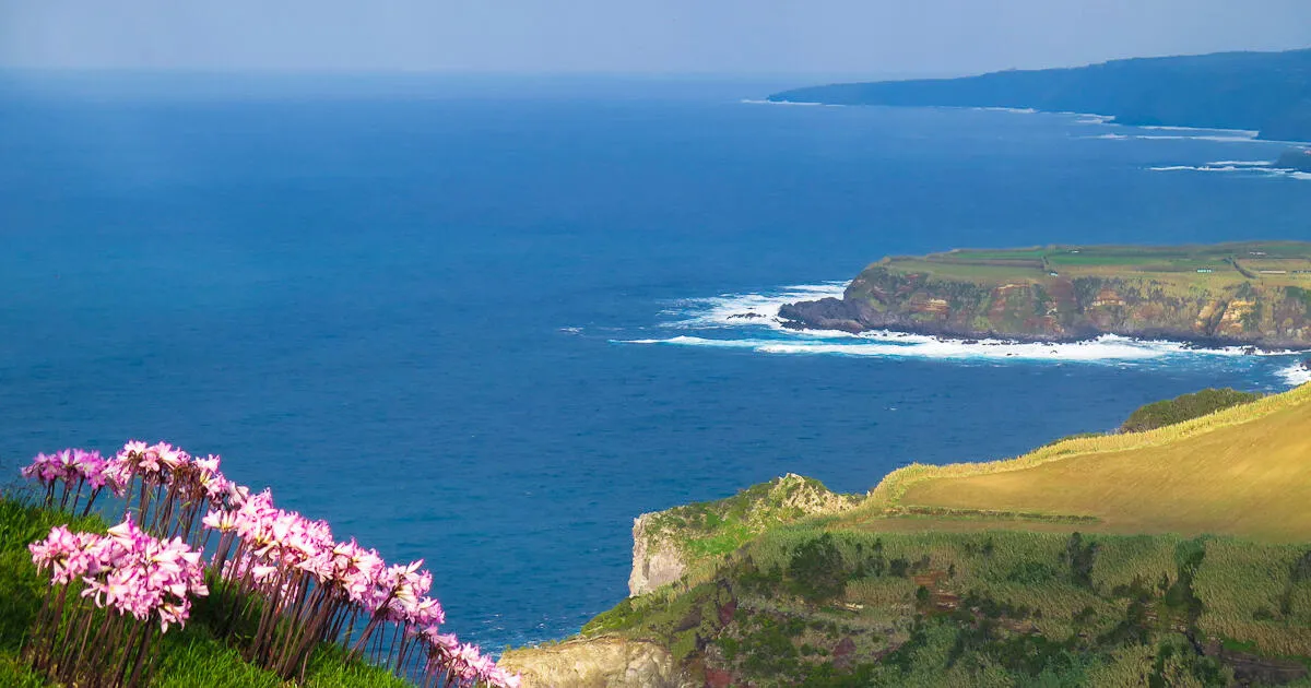 大洋の中の島々への旅。北大西洋のアソーレス諸島（ポルトガル）
