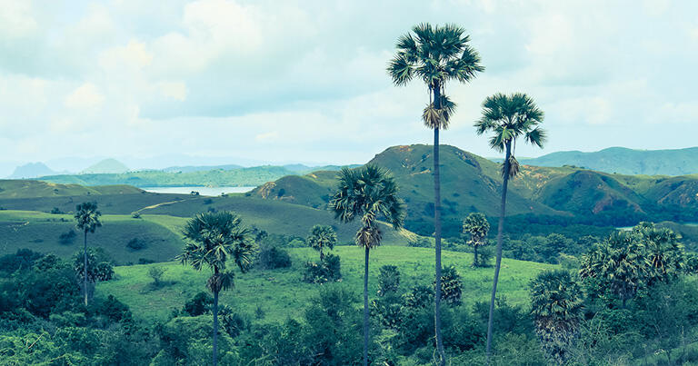 恐竜が出てきそうな熱帯サバナ気候の島