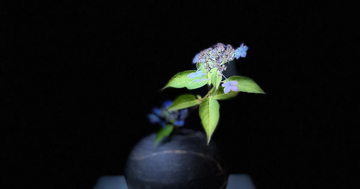 第1回「一輪の花をいける」