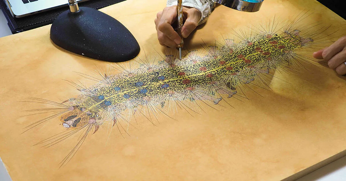 生まれ変わっても、またイモムシを描きたい｜イモムシ画家 桃山鈴子