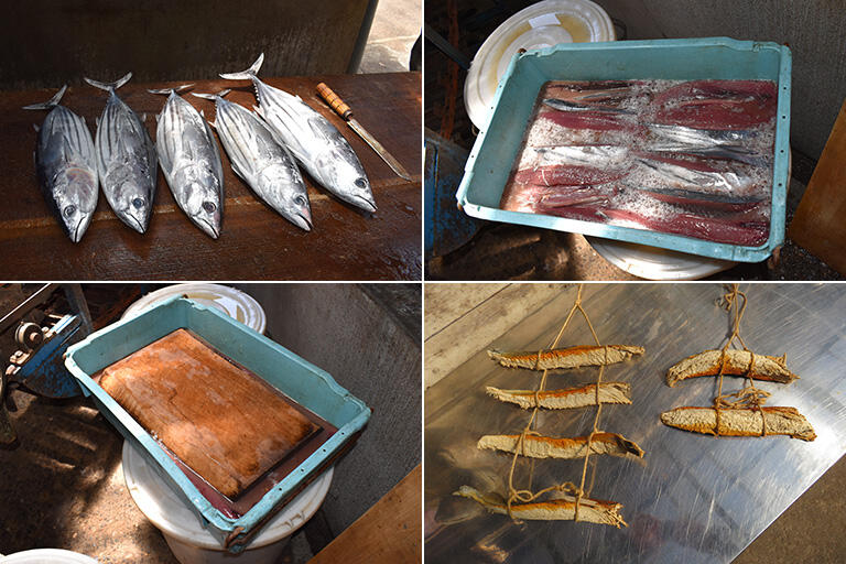 カツオの加工法の実験。古代、カツオは木簡や法典「延喜式」で「堅魚（かつお）」と記載されていた。中でも「煮堅魚（にかつお）」はカツオを煮てから干したもので、現在のかつお節のように調味料として使用されていた可能性を追求している（写真提供：三舟隆之）
