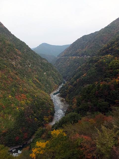 紅葉時期の「祖谷渓」の景色