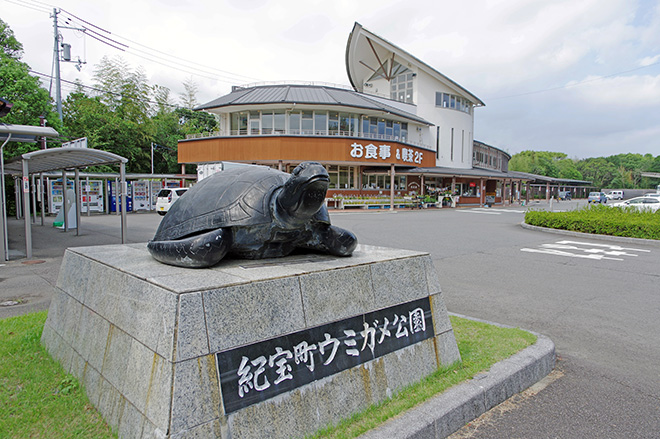 ウミガメ像がお出迎えしてくれる「道の駅 紀宝町ウミガメ公園」