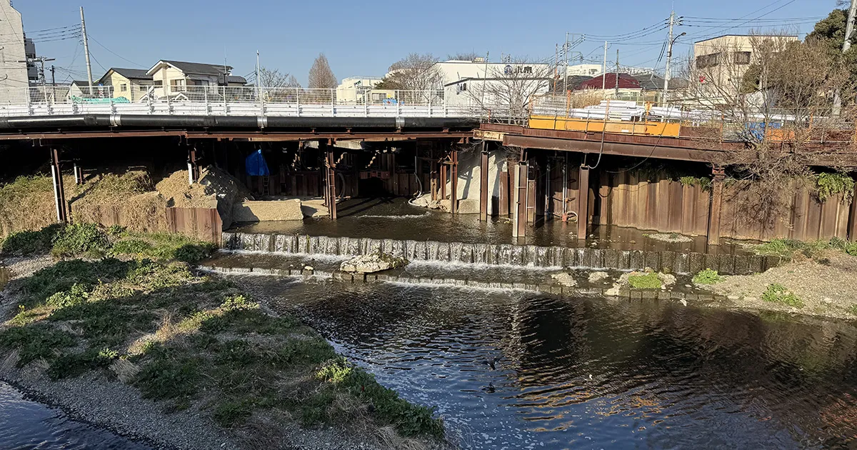 東京凸凹倶楽部の「成城の高低差と湧水、5つの多摩川水系の川を巡るまち歩き」に参加してみた！〈後...