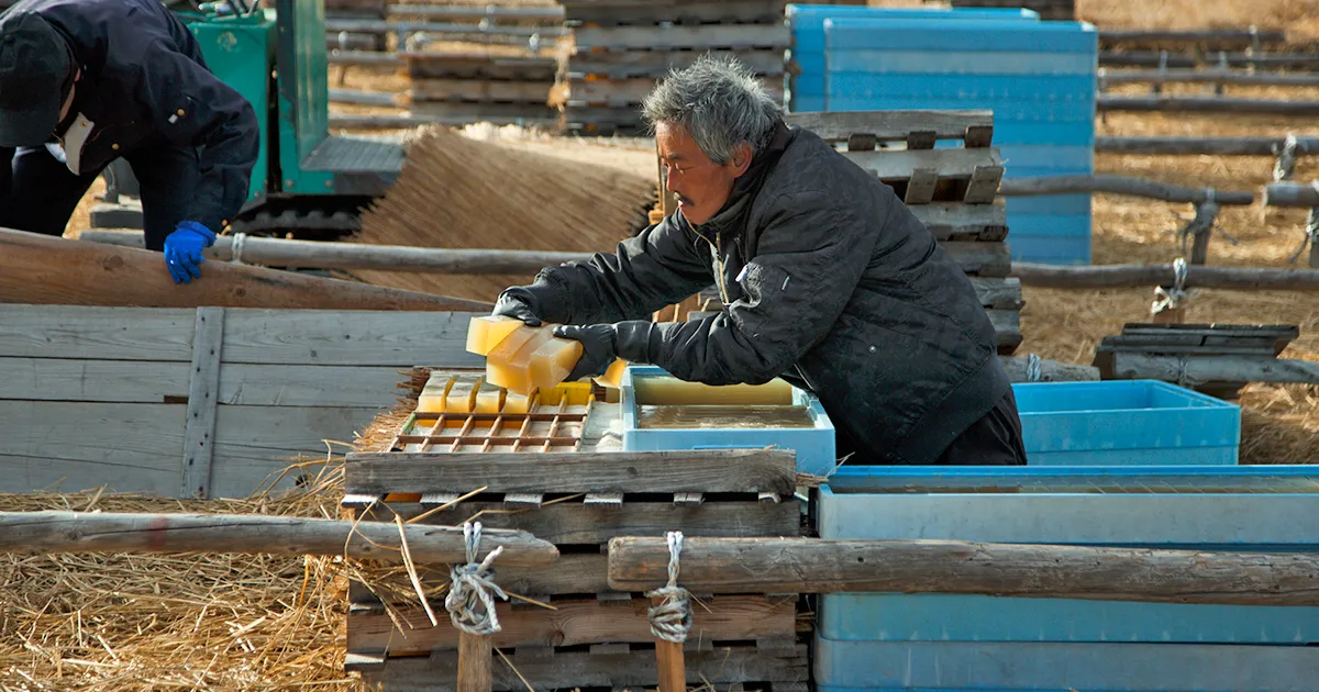 別ウィンドウで開く